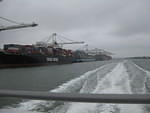 IMG 0820