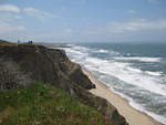 IMG 0836