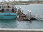 IMG 0844