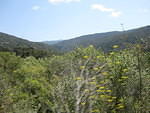 IMG 0849