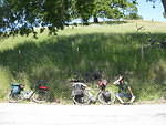 IMG 0853