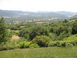 IMG 0854