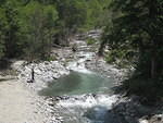 IMG 0871