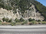IMG 0875