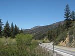 IMG 0877