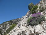 IMG 0883