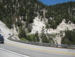 IMG 0887