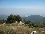 IMG 0890