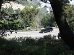 IMG 0892