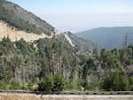 IMG 0894