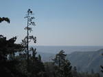 IMG 0896