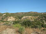 IMG 0902