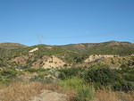 IMG 0903