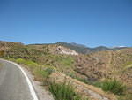 IMG 0905