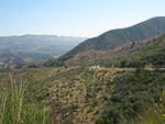 IMG 0906