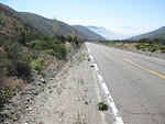 IMG 0908