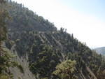 IMG 0913