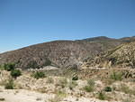 IMG 0924