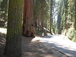IMG 0945