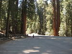 IMG 0947