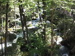 IMG 0954