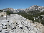 IMG 0963