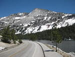 IMG 0965
