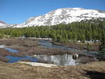 IMG 0969