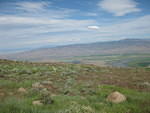 IMG 0997