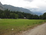 IMG 1051