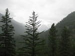 IMG 1055