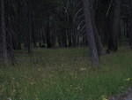 IMG 1059