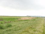 P4200019