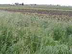 P4200022.JPG