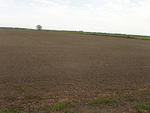 P4210032.JPG