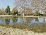 P4210037.JPG