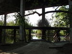 P4210042.JPG