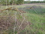 P4210044.JPG