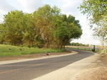 P4210047.JPG