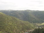 P4220058.JPG